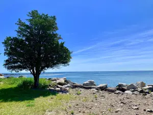 North Beach