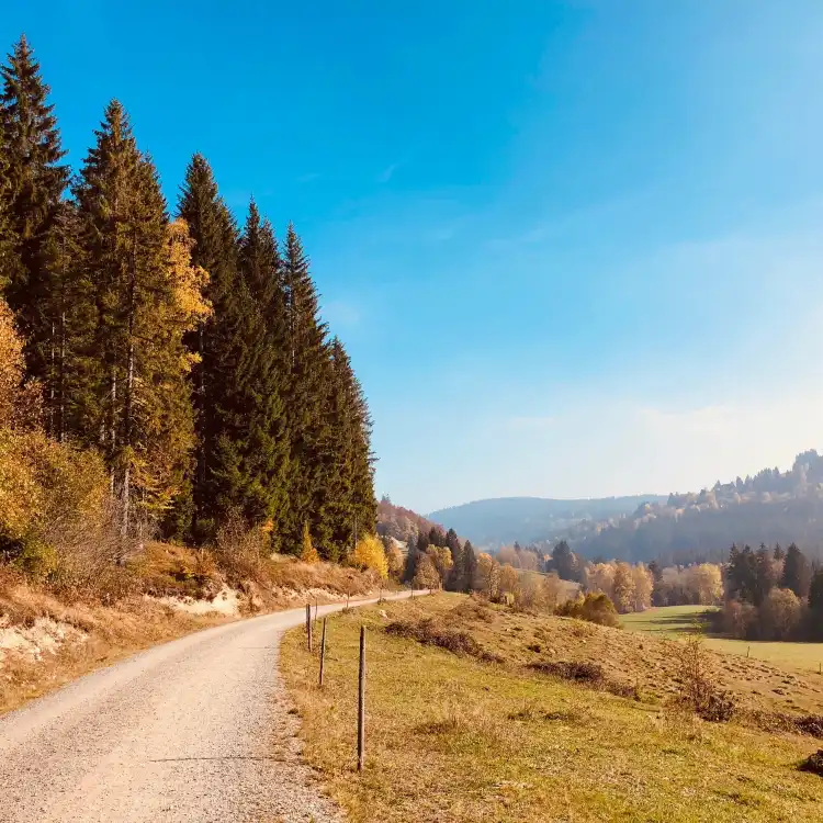Feldberg