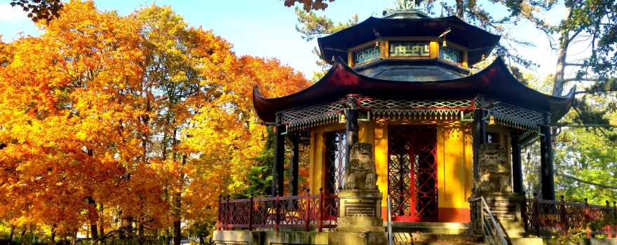 Le Pavillon Chinois