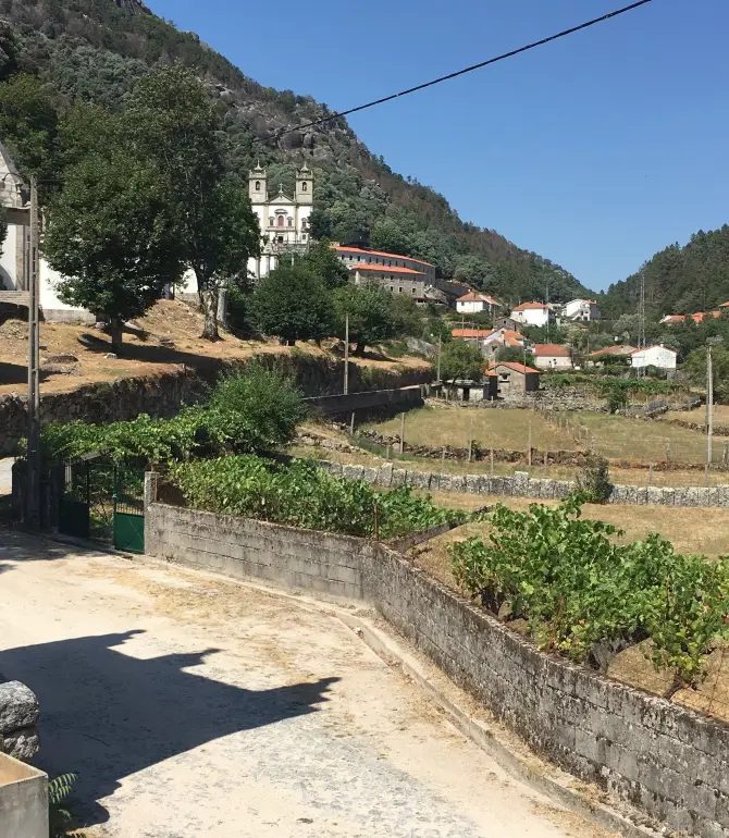 Paredes de Coura
