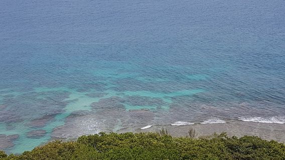 Phare de l'Ile aux Prunes