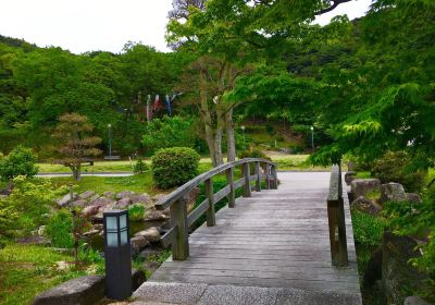 Hikari