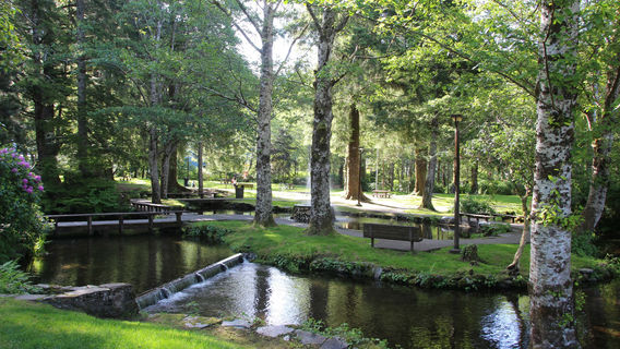 City Park