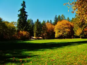 Wildwood Recreation Site