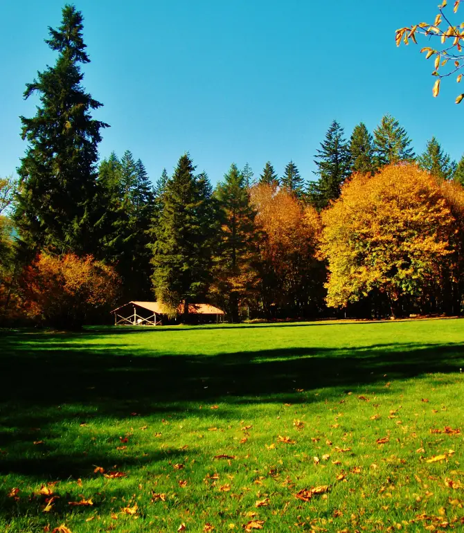 Mt Hood Village