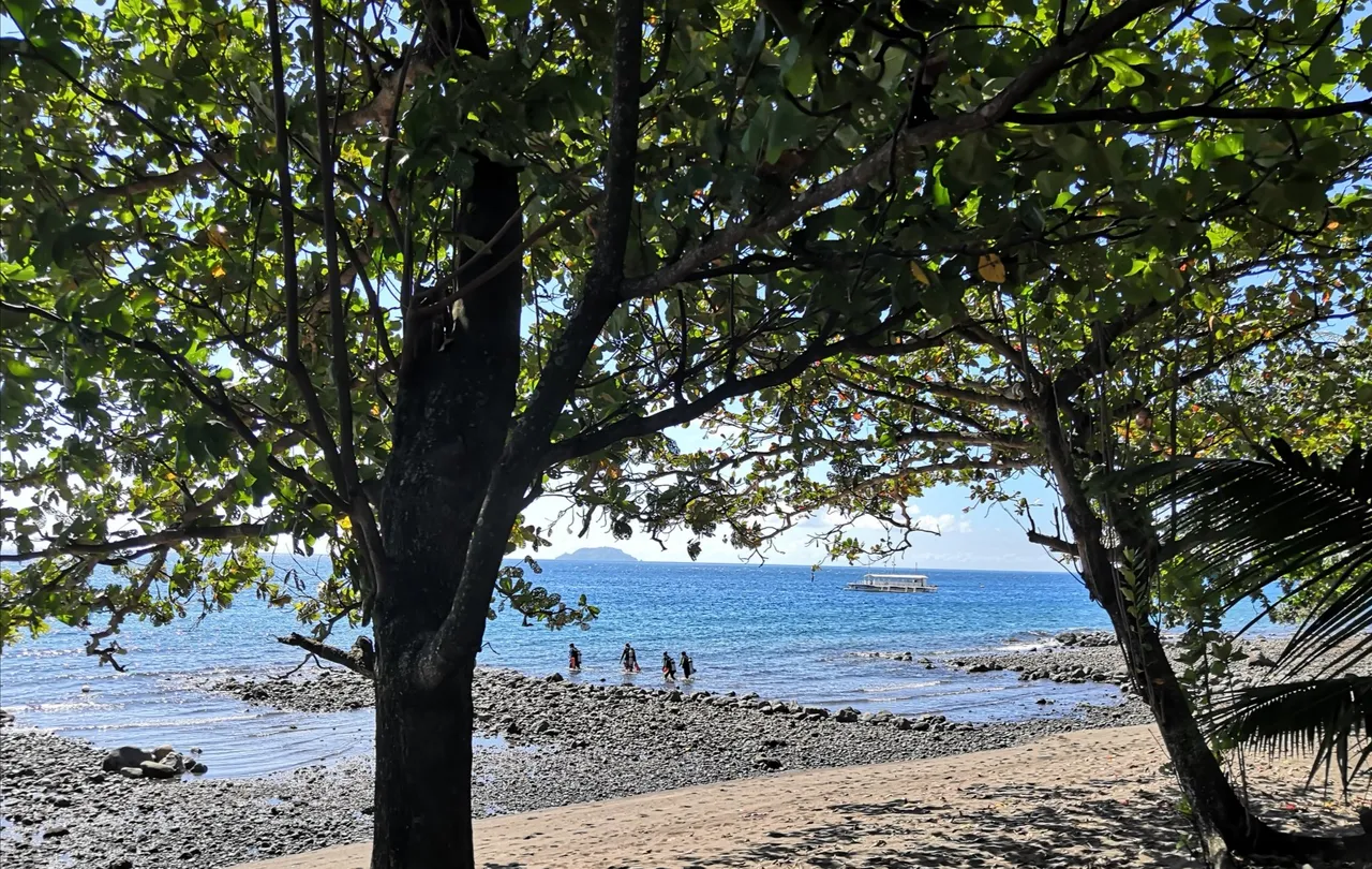 2_La Tortue Diving Center