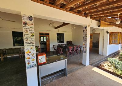 Donkey Clinic and Education Center