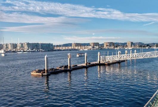 Marina del Rey Harbor