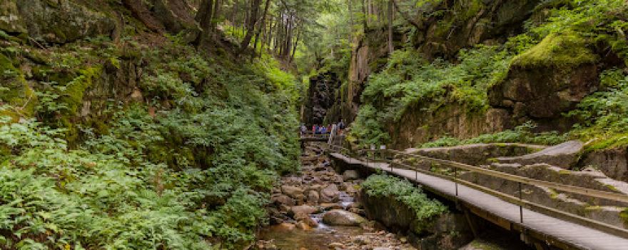 Flume Path
