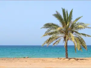 Dibba Beach