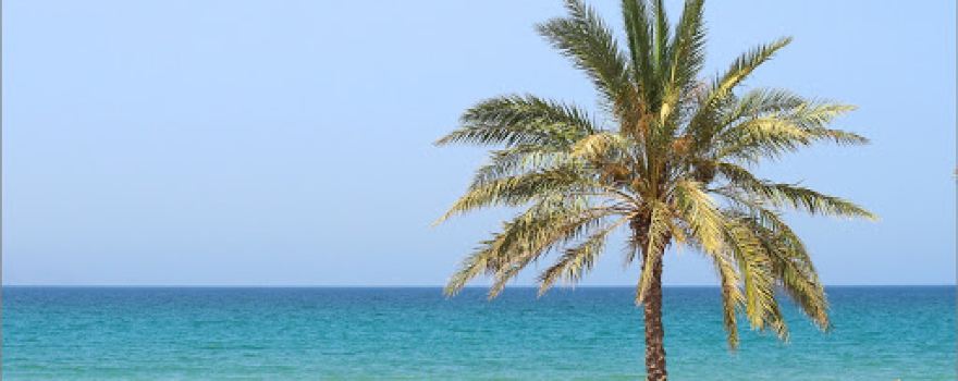 Dibba Beach