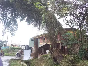 Ngwu Tree (Azungwu Quarters Boundary)