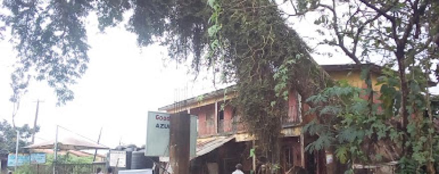 Ngwu Tree (Azungwu Quarters Boundary)