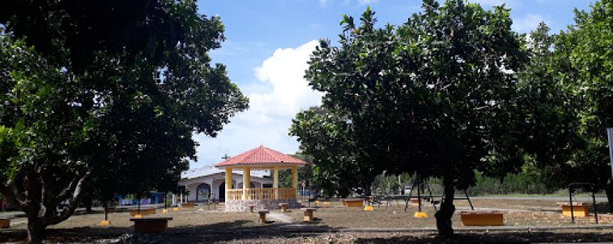 Toza Park