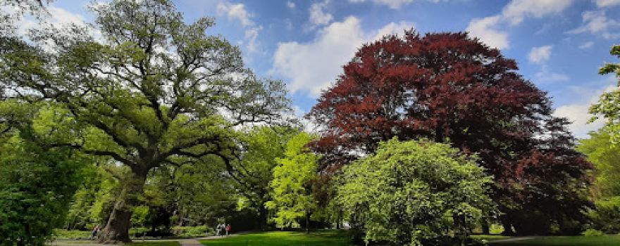 Park Hartenstein