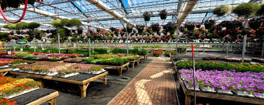 Danville Gardens