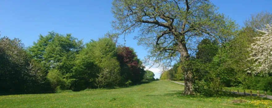 Cornist Park