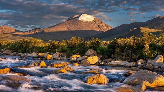Altai