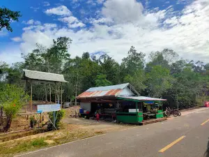 Air Terjun Tosah puruk cahu