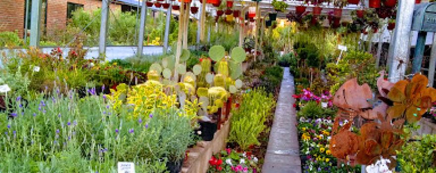 Vivero Las Heras