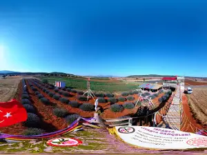 Zambak Bahcesi
