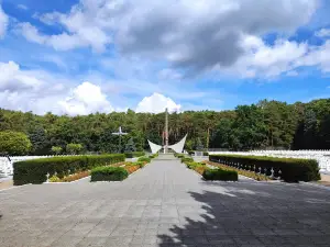Cedyński Park Krajobrazowy