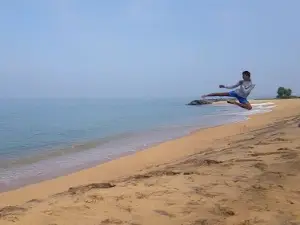 K-Lion's Taekwondo Academy