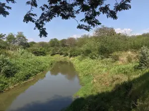 Parque Ecologico Mamey
