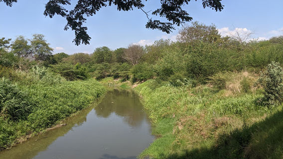 Parque Ecologico Mamey
