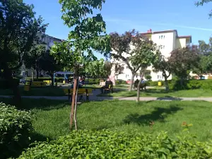 Parcul Mioritei