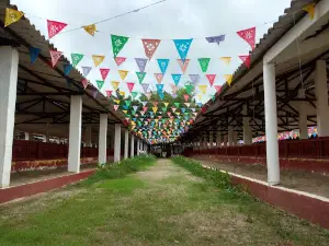Palenque De Gallos