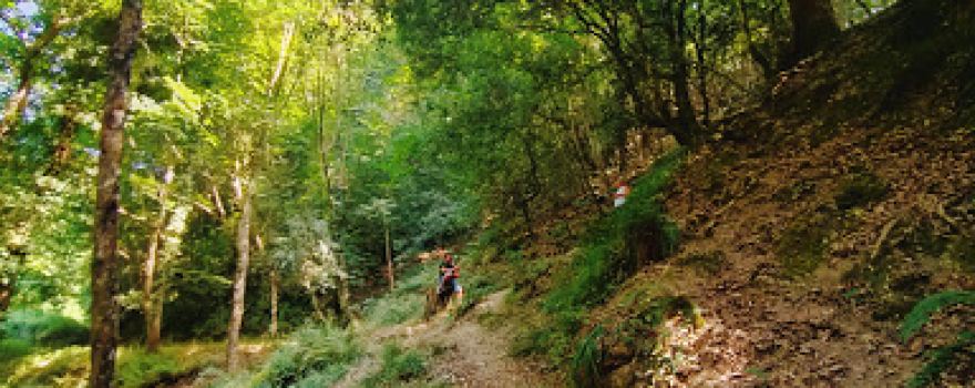 Fiume griffo area picnic