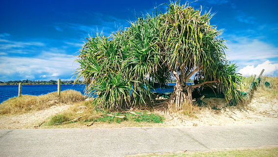 Ballina