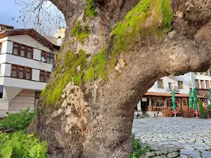 Melnik