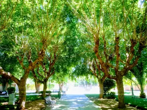 Plaza Las Américas (Victoria)