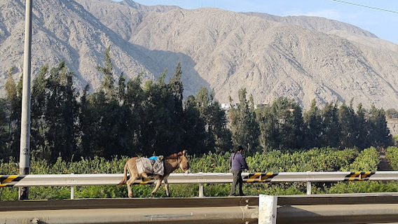 Forest protection Bocatoma New Imperial Canal