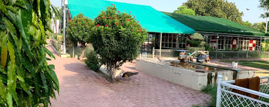 Makhdoom Syed Safdar Ali Bukhari RA (Kakian Waali Sarkar) Darbar