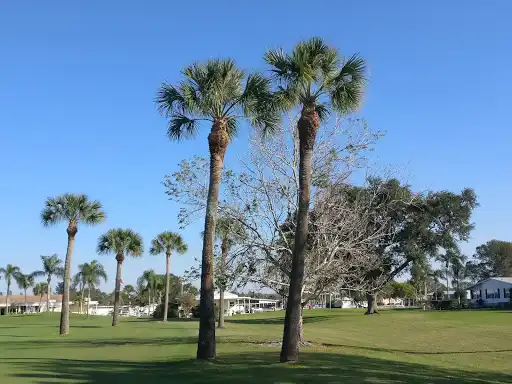 Fairway Village Golf Course