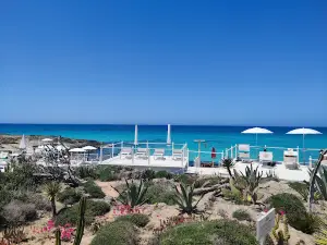 Punta della Suina