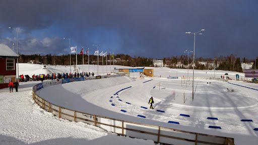 OTS-ski Kari Dalen