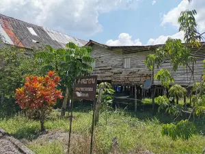 Rumah Panjang Melanau Kampung Sok