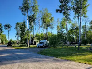 Timber Mill Park