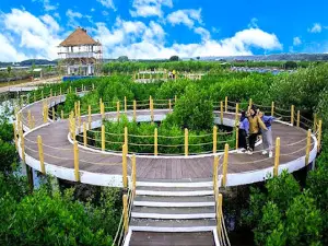 Taman Mangrove Ketapang