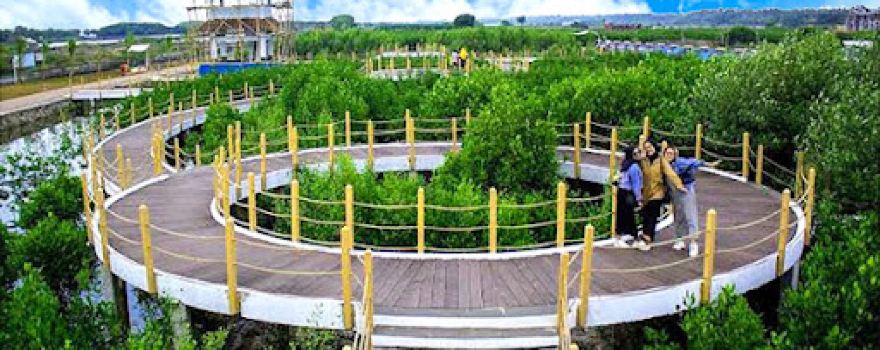 Taman Mangrove Ketapang