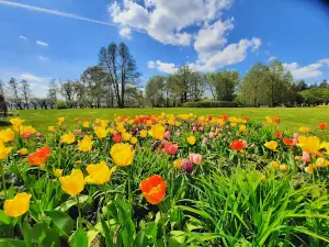 Stadt Park