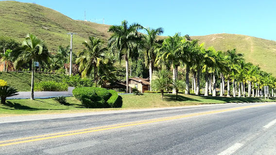 Miradouro, MG, Trevo