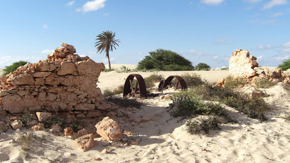 Lost Place: Brickfactory