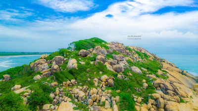 Elephant Rock