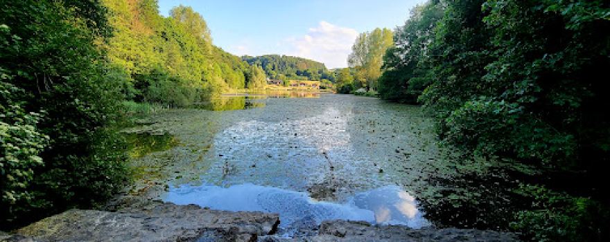 Waldsee