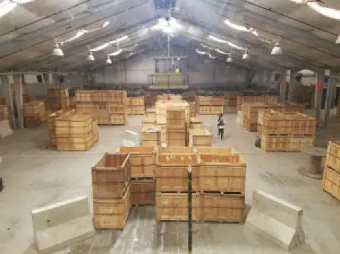 Insane Paintball/Airsoft